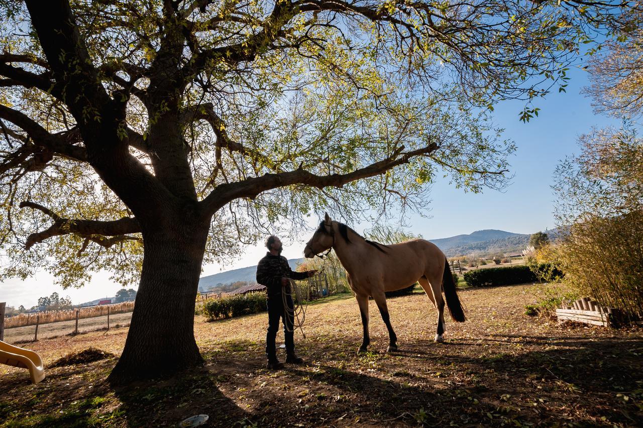 El Molino Agriturismo Fonteblanda Kültér fotó
