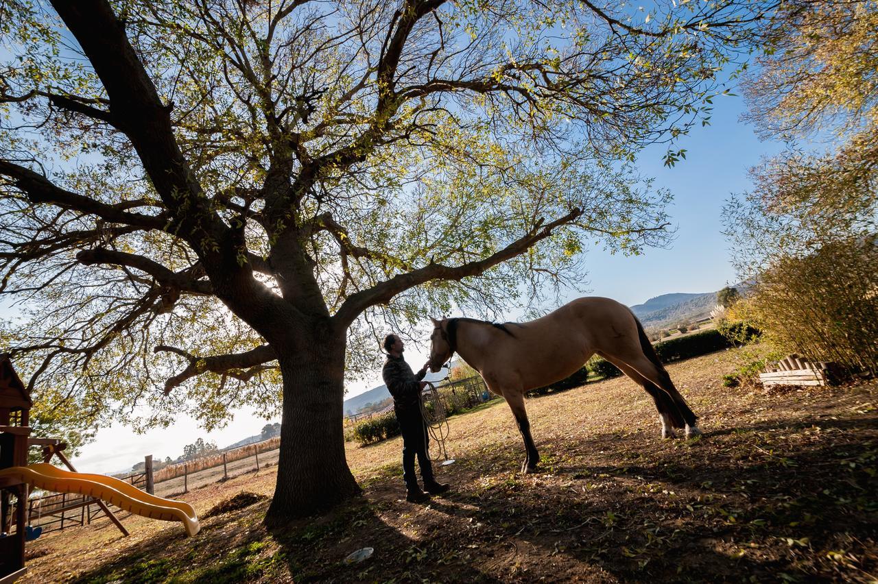 El Molino Agriturismo Fonteblanda Kültér fotó